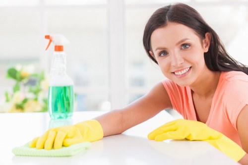 Professional carpet cleaning in a Silvertown home living room