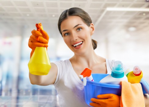 Accessibility support information for Silvertown carpet cleaners users