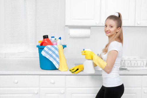 Pet stain odour removal treatment in a Silvertown home