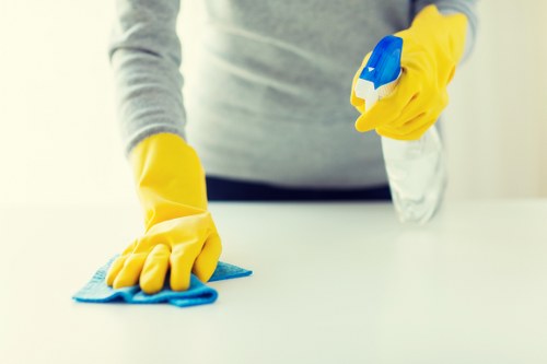 Silvertown Carpet Cleaners sustainability and circular economy practices