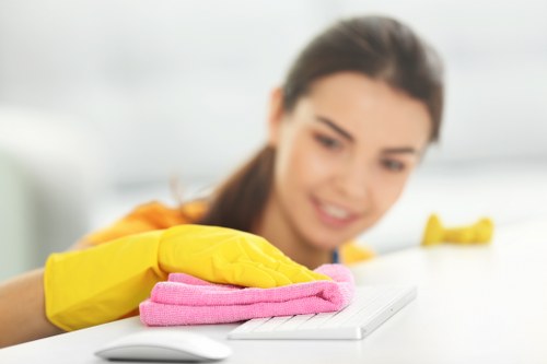 Service issue assessment during a carpet cleaner complaints review