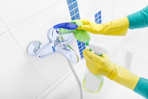 Enzyme cleaning for pet odour removal in Silvertown