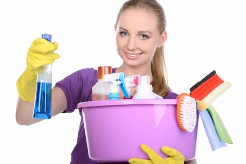 Deep upholstery cleaning process in a Silvertown home