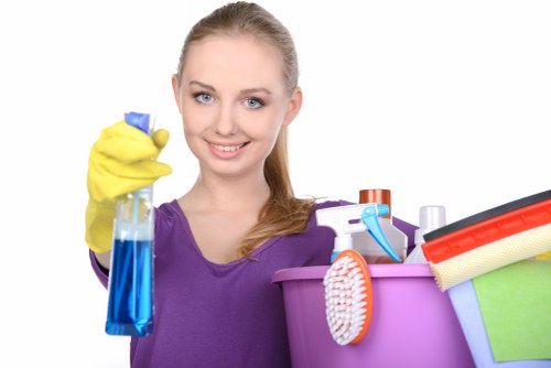 Deep cleaning equipment used for commercial carpets in Silvertown