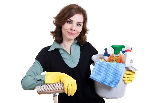 SSL encrypted online payment screen for a carpet cleaning service