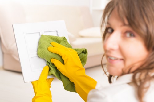 Cleaning and sanitizing a mattress in Silvertown