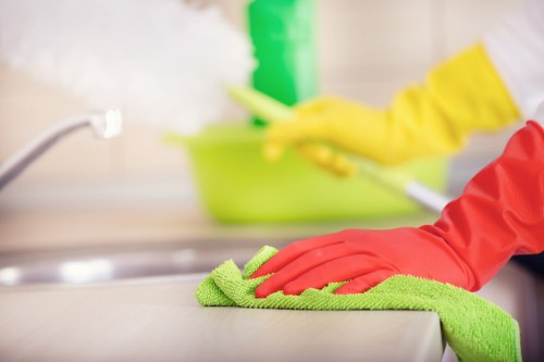 Professional cleaning process for carpets and upholstery